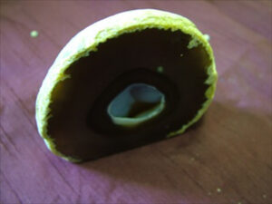 2-3 inch Agate Geode Natural 1