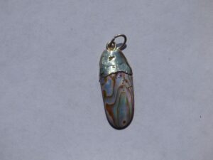 Abalone Pendant - ref. a15