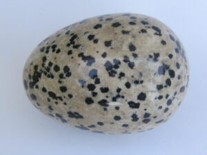 Dalmatian Jasper Egg