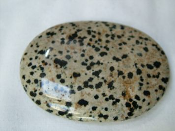 Dalmatian Jasper Palm Stone