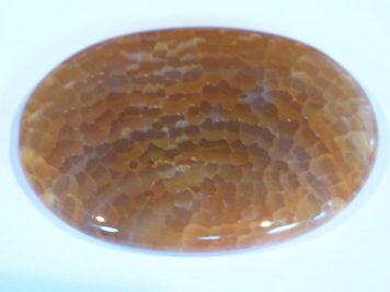Fire Agate Palm Stone