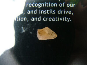 Imperial Topaz (Gold Topaz) Pack A