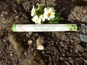 Sensuality Incense by Stamford