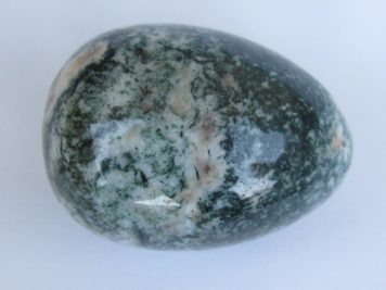 Tree Jasper Egg