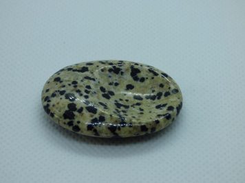 Dalmatian Jasper Thumb Stone