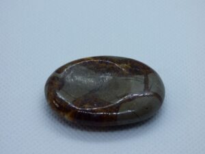 Septaria Thumb Stone