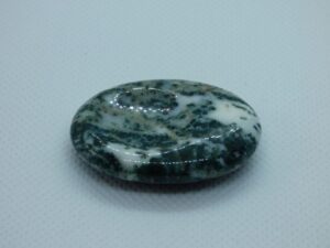 Tree Jasper Thumb Stone